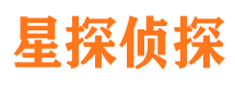 兰西侦探公司